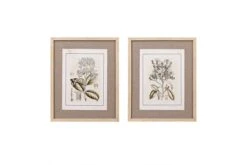 Tinted Botanical Single Linen Mat 2 Piece Set By Martha Stewart