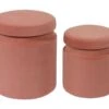 Kris Salmon Velvet Storage Ottomans - Set Of 2 -Furniture Serie Shop 189339 1200x800