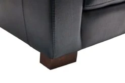 Theo Leather Loveseat -Furniture Serie Shop 221692 1200x800