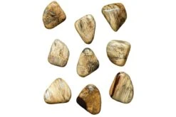 Pebbles Blonde Wood Wall Décor, Set Of 9