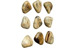 Pebbles Blonde Wood Wall Décor, Set Of 9 -Furniture Serie Shop 244277 1200x800
