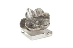 Magnolia Silver Leaf Object By Regina Andrew