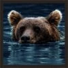 Swimming Bear Art -Furniture Serie Shop 264758 1200x800