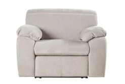 Arc Dove Power Recliner